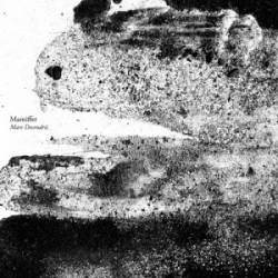 Mamiffer : Mare Decendrii Mamiffer : Mare Decendrii